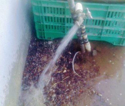 Solucionado problema de agua en San Martín y se atienden casos particulares por obstrucción de tubería:  OOSAPAS